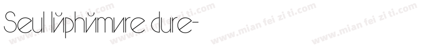 Seul léphémère dure字体转换